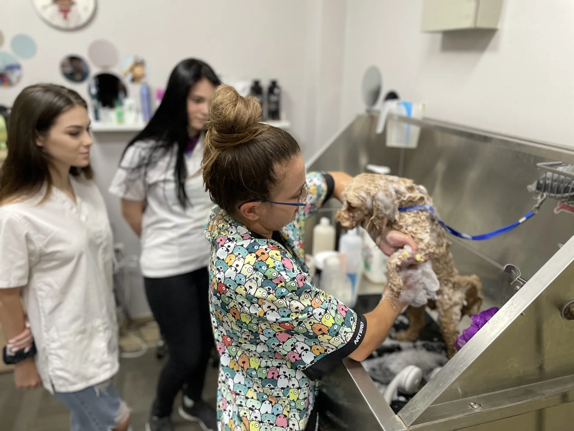 grooming course - tanya chakurova